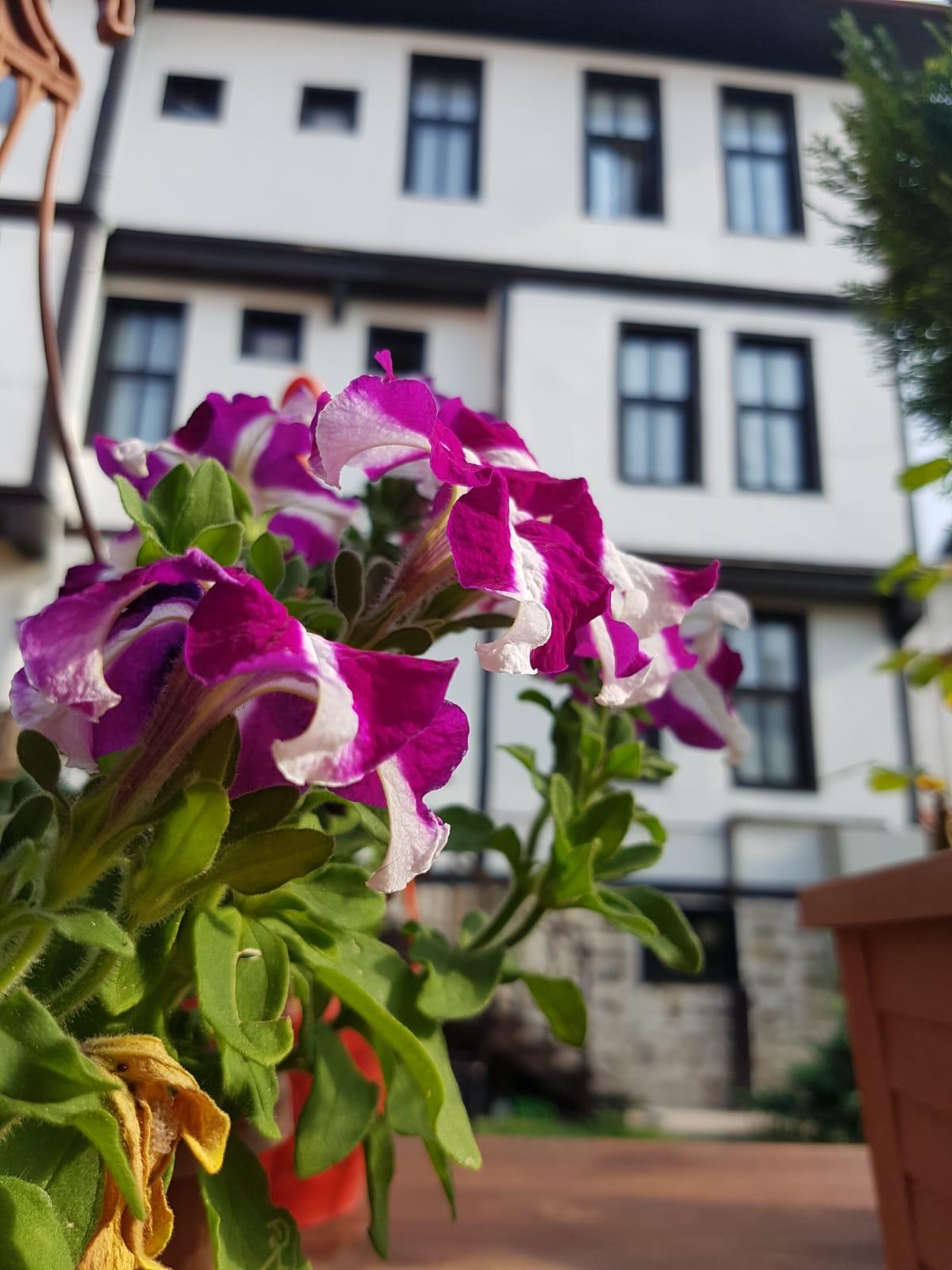 Kadioglu Konagi Hotel Kastamonu Buitenkant foto